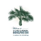havana havana Athletic Support