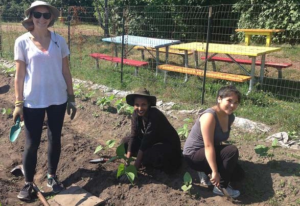 tSB Interns get down and dirty
